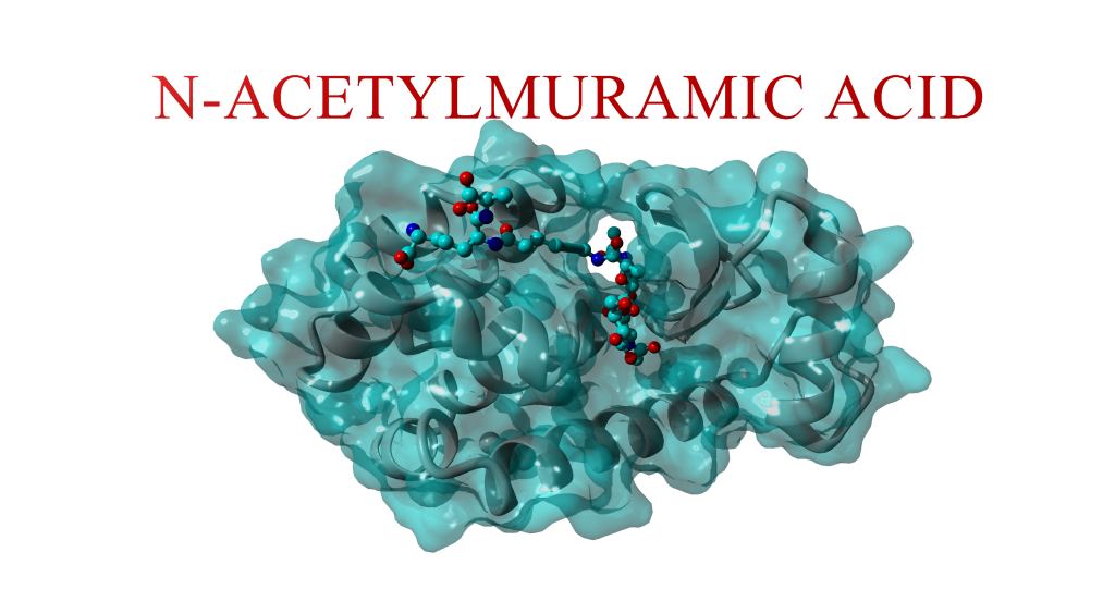 A labeled figure of structure 148L