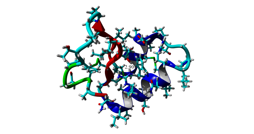 Annotated distance between Threonine 2 and Arginine 10